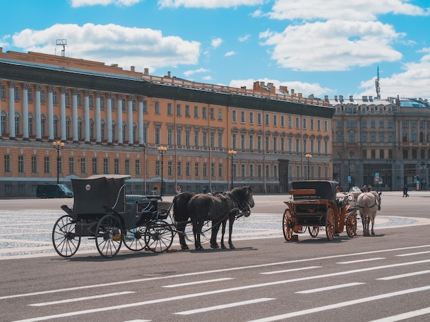 Winter Palace Kwadrat Z Przewozu I Koni W Sankt Petersburgu. Rosja