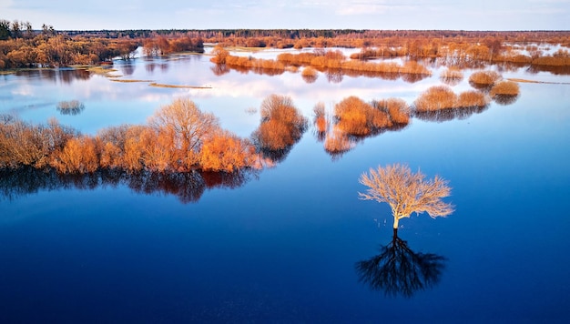Zdjęcie wiosenna powódź krajobraz wiejski drzewa łąka krzewy pola droga krajowa pod wysoka powódź niebo chmury odbicie w wieczornym świetle świeża woda przelew widok z lotu ptaka równina zalewowa