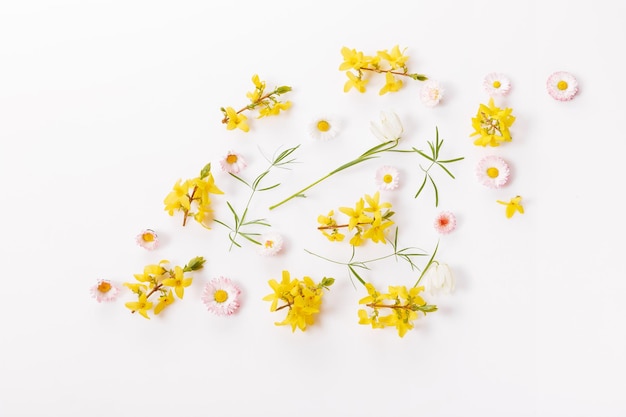 Wiosenna ramka małych kwiatów i stokrotka kwiatowy układ na białym tle Wiosna lato koncepcja wielkanocna Płaska przestrzeń kopiowania z widokiem z góry