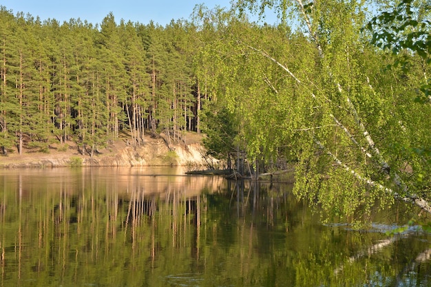 Wiosenna rzeka w Parku Narodowym Centralnej Rosji