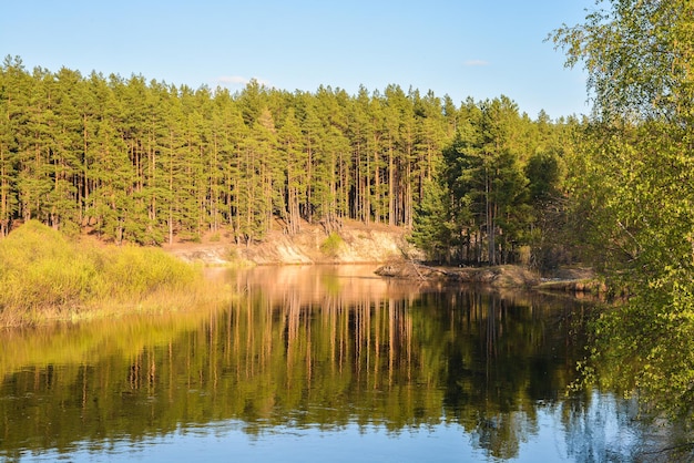 Wiosenna rzeka w regionie Parku Narodowego Meshersky Riazan
