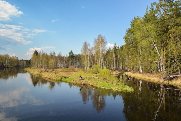Wiosenna rzeka w regionie Parku Narodowego Meshersky Riazan