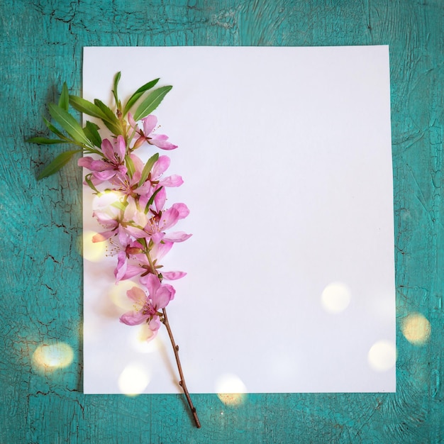 Zdjęcie wiosenne białe tło okrągłe ramy z niebieskimi kwiatami muscari lub hyacyntami winogron