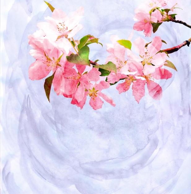 wiosenne drzewa kwitną akwarela ilustracja