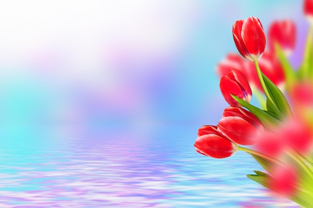 Wiosenne kolorowe kwiaty tulipany kolekcja kwiatowa