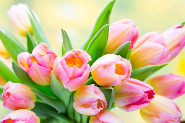 Wiosenne kwiaty. Bukiet tulipanów na tle bokeh.