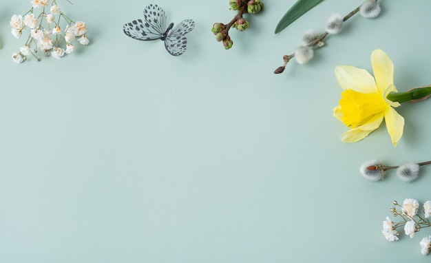 Zdjęcie wiosenne kwiaty leżały płaską kompozycję ramki na kolorowym tle z miejsca na kopię żonkile i wierzba z motylem widok z góry