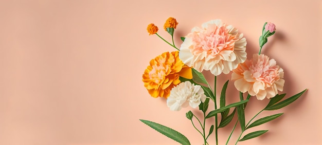 Wiosenne kwiaty nagietka na różowym pastelowym tle widok z góry w płaskim stylu świeckich Powitanie na Dzień Kobiet lub Matki lub Wiosenny Banner Wyprzedaż Generative Ai