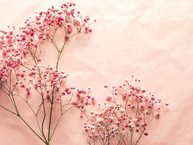 Zdjęcie wiosenne kwiaty różowe małe kwiaty na tle różowego papieru widok z góry leżał płasko