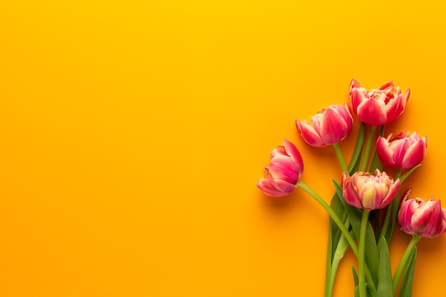 Wiosenne kwiaty. Tulipany w pastelowych kolorach kartkę z życzeniami Retro styl vintage. Dzień matki, wielkanoc kartkę z życzeniami.