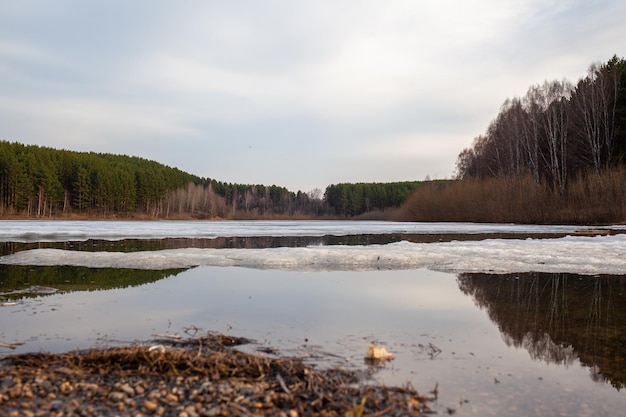 Wiosenne strumienie w przyrodzie. Śnieg topnieje i płyną czyste strumienie. Natura wobec jezior i lasów