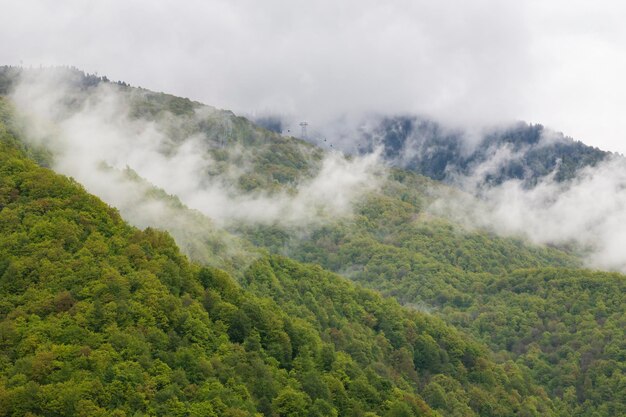 Wiosenne Zielone Góry W Chmurach I Mgle Koncepcja Ma Być Ponad Chmurami