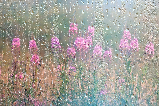wiosenny deszcz streszczenie tło kwiaty