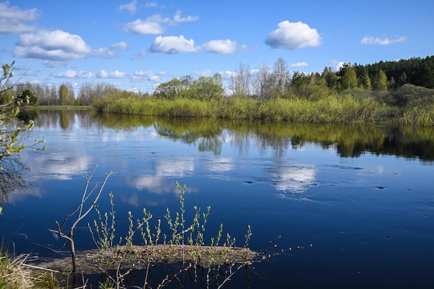 Wiosenny Dzień Nad Leśną Rzeką