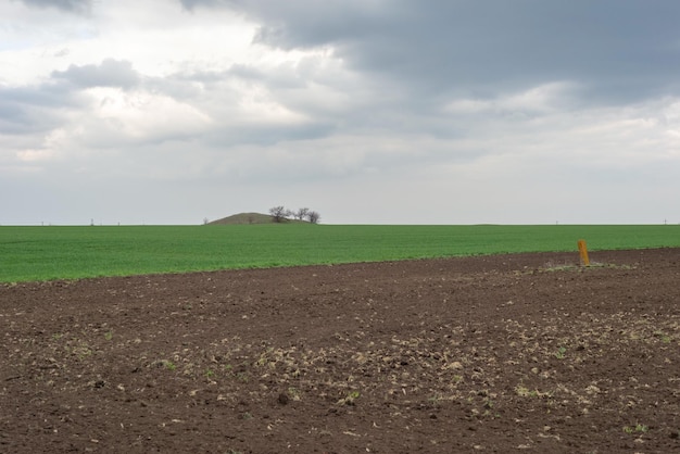 Wiosenny krajobraz na wpół zaorane pole i zielona trawa na tle zachmurzonego nieba