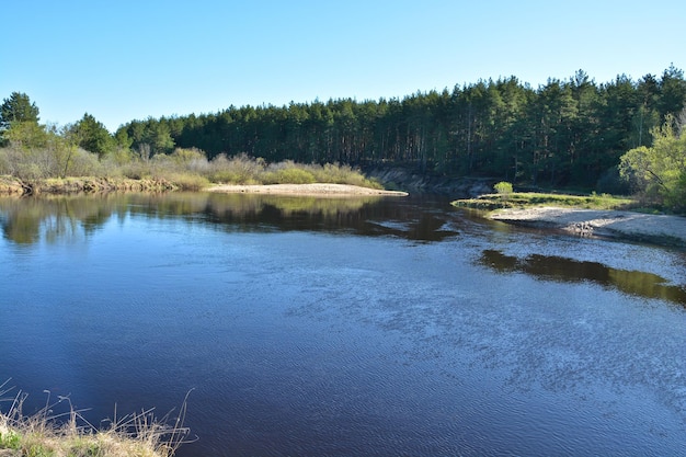 Wiosenny krajobraz rzeki