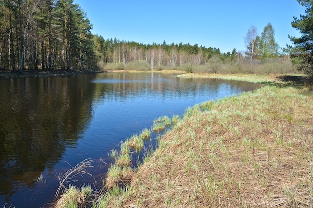 Wiosenny poranek nad rzeką