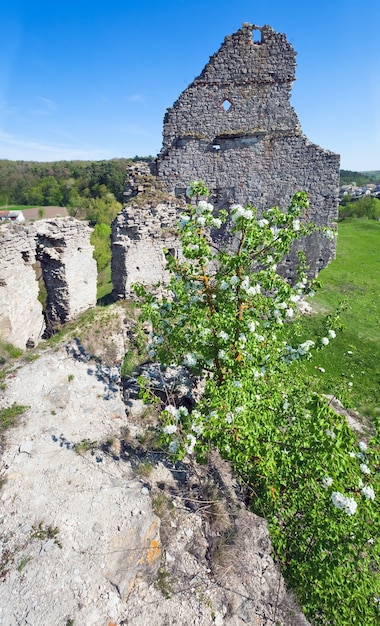Wiosenny widok na ruiny zamku (wieś Sydoriv, region Tarnopol, Ukraina).