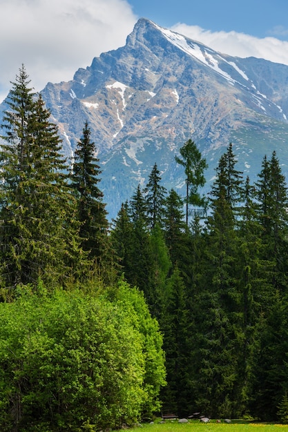 Wiosenny widok na Wysokie Tatry ze śniegiem na zboczu Alp Krywańskich (Słowacja)