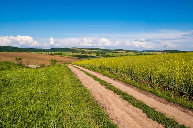 Wiosenny wiejski widok z brudną drogą rzepaku żółte kwitnące pola wieś wzgórza Ukraina Obwód lwowski