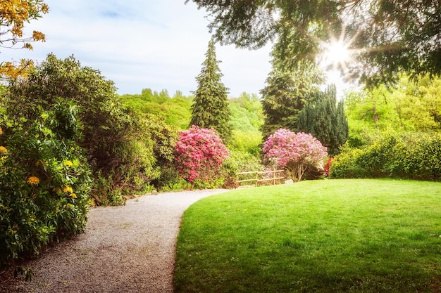 Wiosenny zielony park Park miejski z ścieżką świeży trawnik kwitnący rododendron i słońce Wiosenne krajobraz tło Piękno w naturze