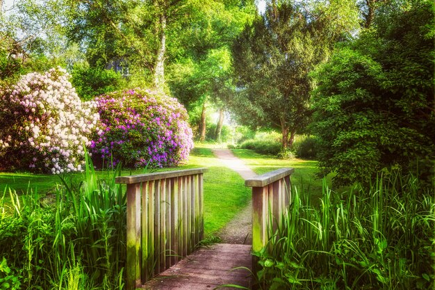 Wiosenny Zielony Park. Park Miejski Z Zieloną Trawą, Stawem, Mostem, Drzewami I Kwitnącym Rododendronem. Wiosenny Krajobraz W Tle