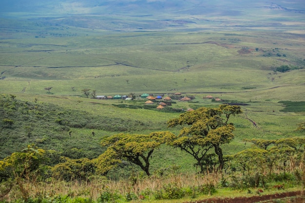 Wioska Masajów w kraterze Ngorongoro. Małe chaty Masajów w afrykańskiej sawannie, Tanzania