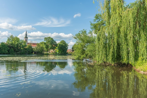 Wioska nad rzeką z liliami wodnymi na wiosnę