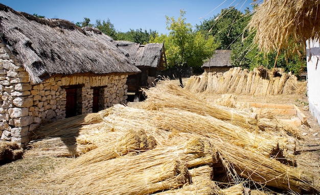 Wioska Skanzen W Europie