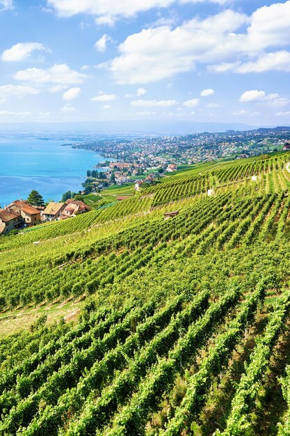 Wioska szwajcarska w pobliżu szlaku turystycznego Lavaux Vineyard Terraces, Jezioro Genewskie i szwajcarskie góry, dzielnica Lavaux-Oron w Szwajcarii