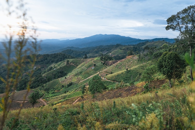 Wioska w górach w Azji i na terenach rolniczych