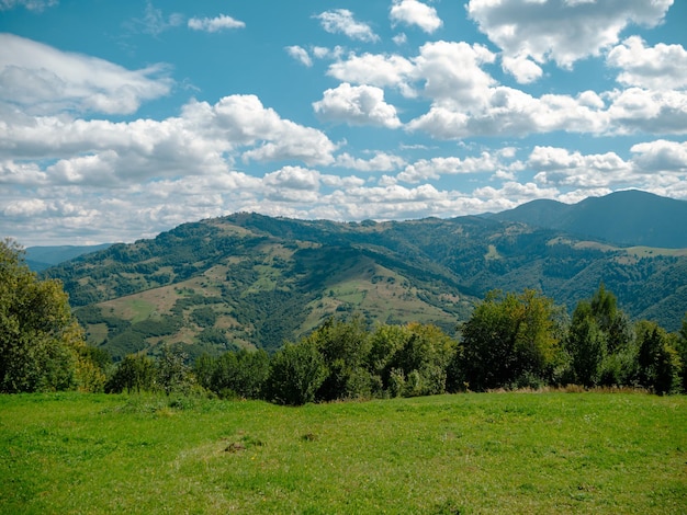 Wioska w regionie Zakarpacia ze starymi autentycznymi drewnianymi domami Góry Karpaty widok na Ukrainę Europa Sceniczny krajobraz zielone świerki słoneczny dzień Eco Lokalna turystyka wiejska wędrówki Cottagecore