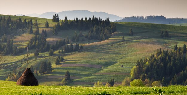 Wiosna krajobraz w Karpatach