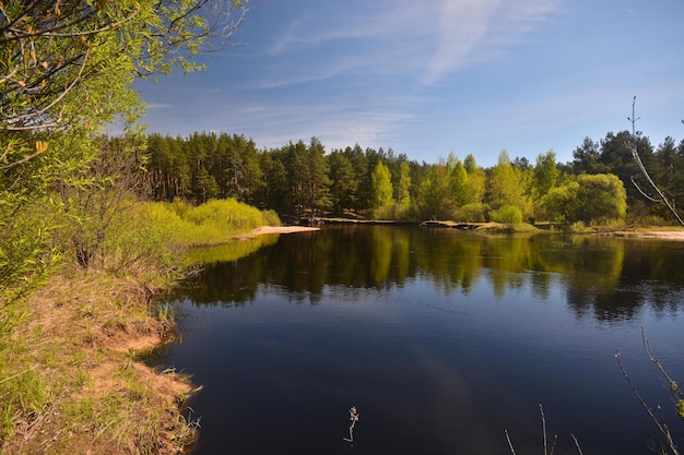 Wiosna nad leśną rzeką