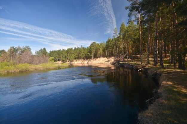 Wiosna nad leśną rzeką