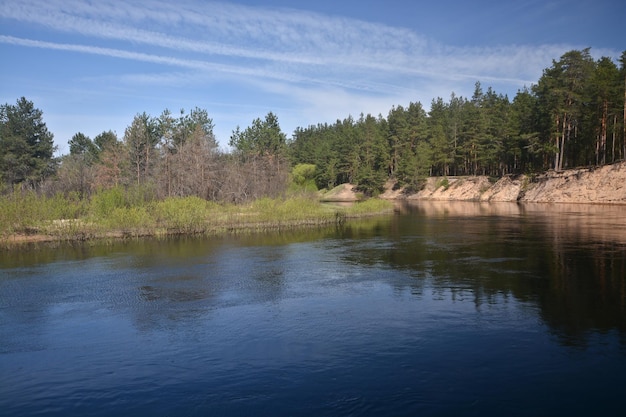 Wiosna nad leśną rzeką