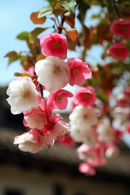 Wiosna super prawdziwe wiele różowych i białych jedwabnych kwiatów jabłoni wiszących na półce różowe i białe płatki błękitne niebo generuje ai
