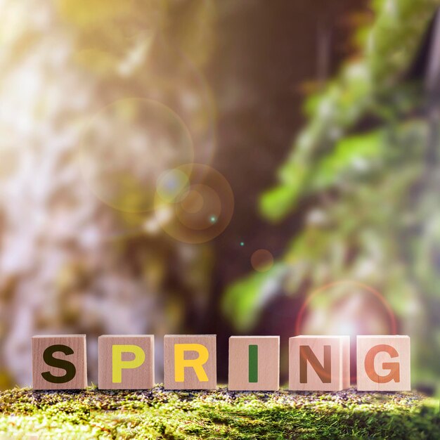 Wiosna to słowo zrobione z kostek z kolorowymi literami, które jest przesłaniem o rychłym nadejściu wiosny i...