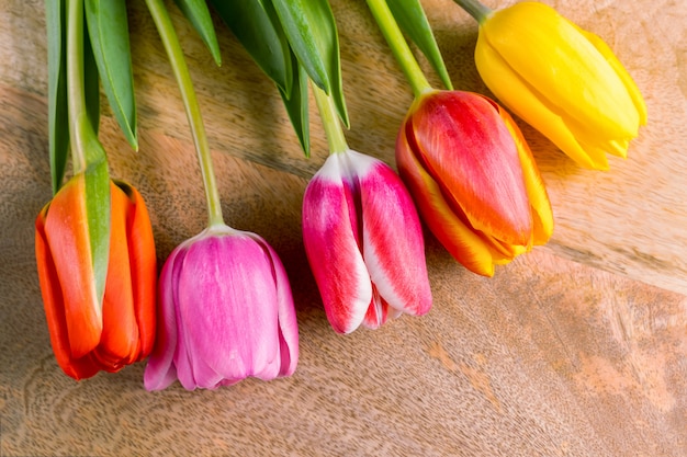 Wiosna tulipan kwitnie bukiet na drewnianym tle