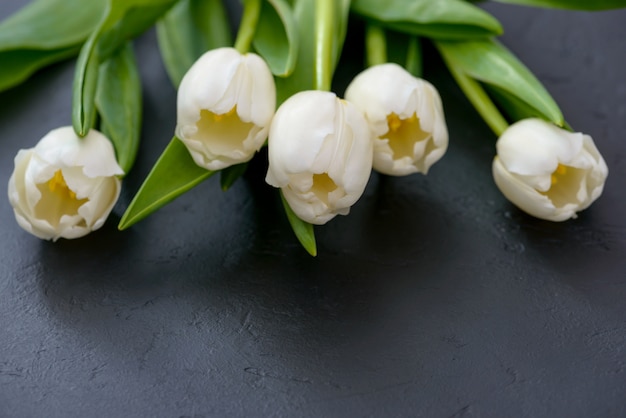 Wiosna tulipany na czarnym tle