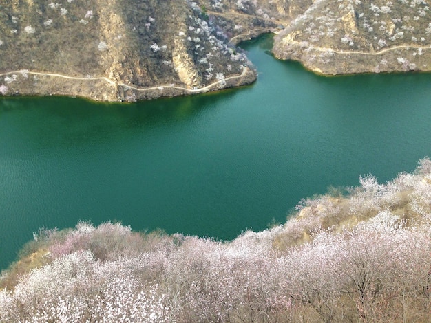 Wiosna w Chinach. Górski krajobraz z jeziorem i kwiatami wiśni, Chiny