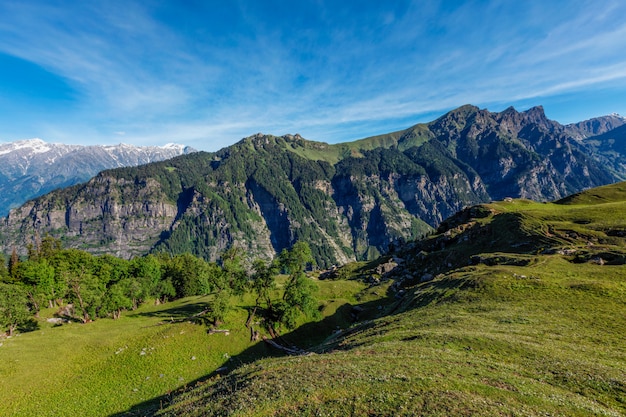 Wiosna W Dolinie Kullu W Himalajach. Himachal Pradesh, Indie