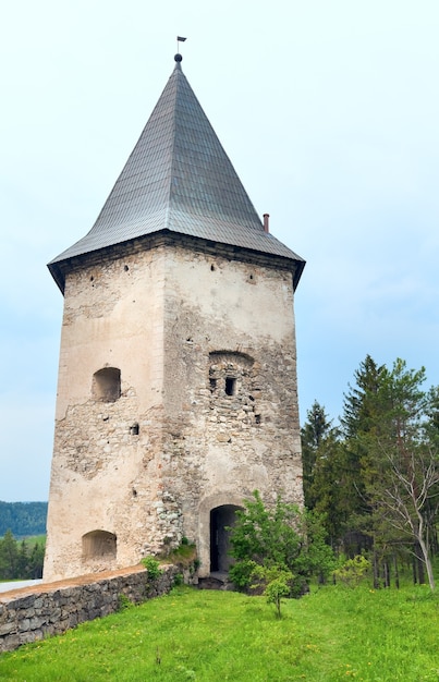 Wiosna widok starej wieży zamkowej