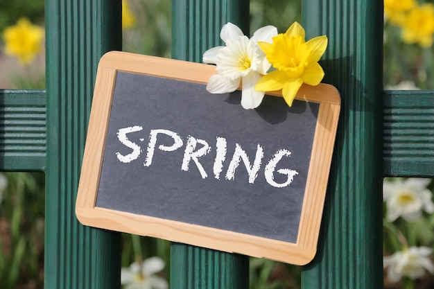 Zdjęcie wiosna wiosenny ogród z kwiatami tablica szyldowa