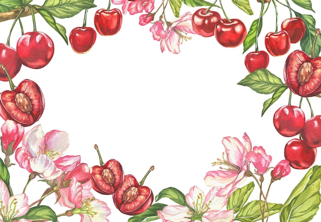 Wiśnia akwarela botaniczna ilustracja jagód wiśni