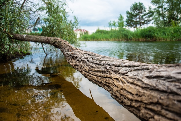 Wisząca kłoda nad jeziorem na tle pięknego krajobrazu