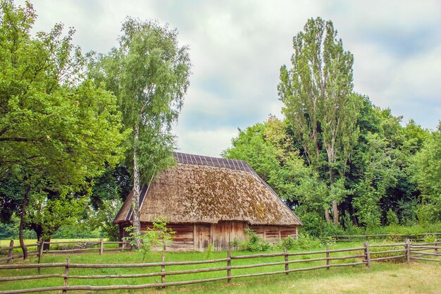 Wizerunek greckiego wojownika z tarczą