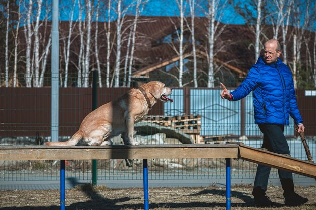 Zdjęcie właściciel labrador retriever trenuje swojego psa na boisku treningowym