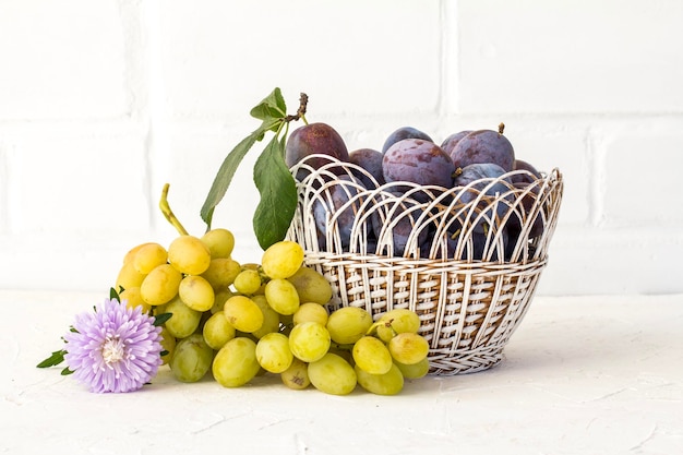 Zdjęcie właśnie zebrane śliwki i winogrona w wiklinowym koszu na białym tle