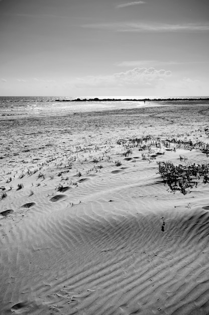 włochy, sycylia, morze śródziemne, południowe piaszczyste wybrzeże, playa grande (prowincja ragusa)
